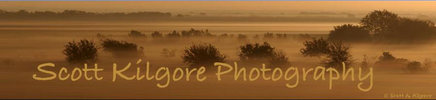 Photographic Bookmarks Scott Kilgore Photography Laminated Photographic Bookmarks